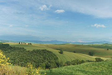 Fototapeta na wymiar Sunset landscapes in Chapel Vitaleta with green grassland and rolling hills in Tuscany