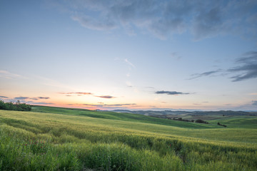 Sunset landscapes over the green grassland and rolling hills in Tuscany