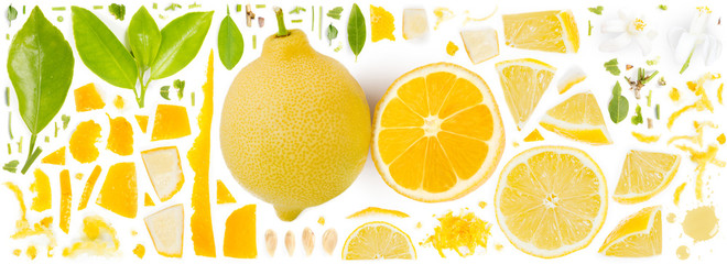 Lemon Collection Abstract