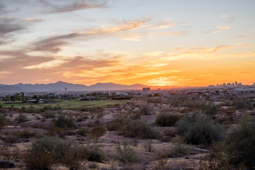Obraz premium Phoenix City Scape at Sunset