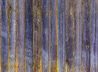 Colored wooden background from boards. Wooden boards from an old fence. Blue and yellow beautiful wood texture. New Year and Christmas background.