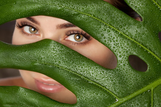 Beautiful Woman with long lashes on the background of a leaf of monstera with water droplets. Eyelash extension procedure, Cosmetology and professional skin care.