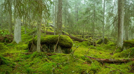 Ycke nature reserve