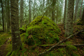 Ycke nature reserve