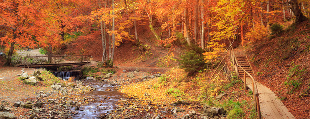 Fototapeta na wymiar Panorama of Pylipets park in autumn season, Ukraine, Carpathian mountains forest. River and pathways near Shipit waterfall.