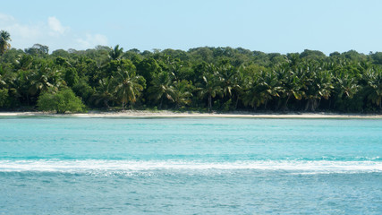 beach and tropical sea