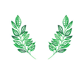 Two green leaves. Herbal element. Hand painted illustration for design.