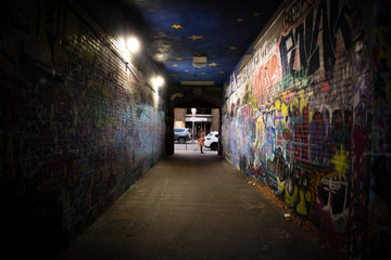 Graffiti in an alleyway, Ann Arbor, Michigan