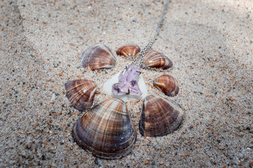 Jewlery necklace on sea shells on the sand