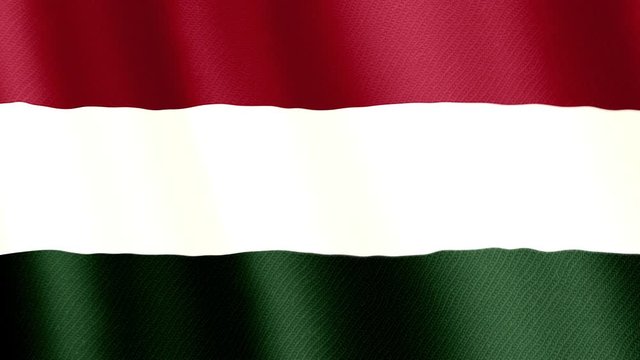 Flag of Hungary - 4K high resolution flag, evolving in the wind. Full HD footage