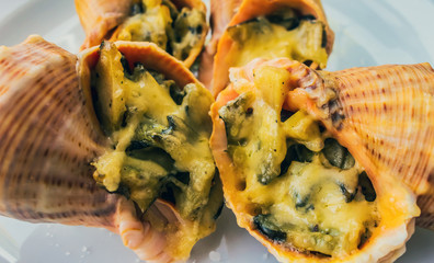 Rapana seafood spotted babylon grilled