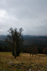 Obraz premium Autumn landscape backgroun in the rain with fog