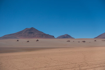 Fototapeta na wymiar Salvador Dalí Desert - Bolivia