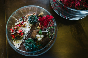 Terrarium Miniature Botanical Horticulture Grow. Terrarium  workshop.. Making Terrarium workshop