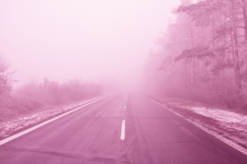 Fototapeta na wymiar Straight empty wet asphalt road during foggy conditions
