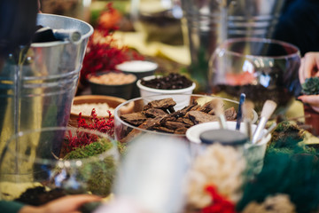 Terrarium Miniature Botanical Horticulture Grow. Terrarium  workshop.. Making Terrarium workshop