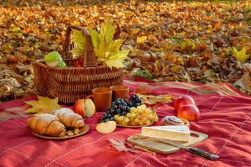 Still life with picnic autumn mood.