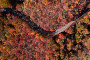 fall colors drone 