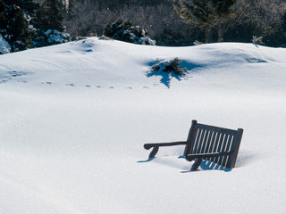 A lone bench is almost covered by a blanket of fresh, brilliantly white deep snow with a line of dark trees and shrubs in the background.