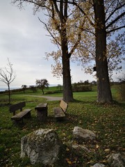table and bench under trees