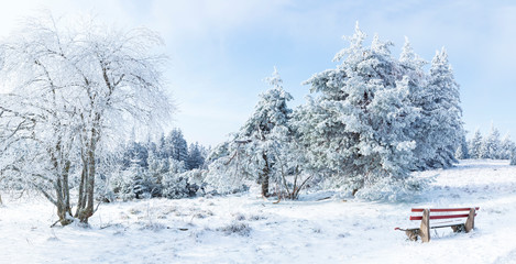 Winter landscape, Winter Forest,  Winter trees covered with snow - Powered by Adobe