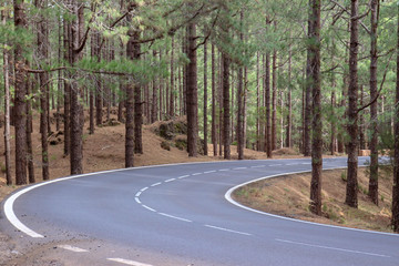 Obraz premium carretera de montaña