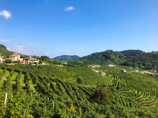 Prosecco Vinyard with Hills and Houses in Valdobbiadene, Veneto, Italy