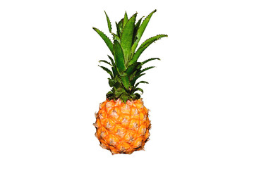 mini pineapple isolated on white background
