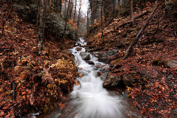 waterfall in forest