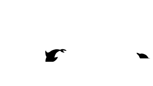 Silhouettes of jumping dolphins, animation on the white background