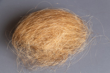 Ball of a blonde woman hairs