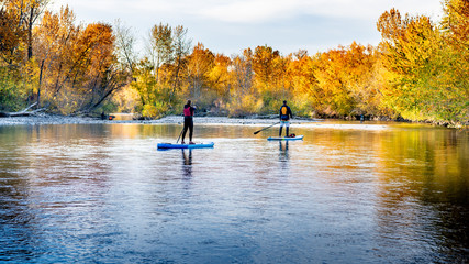 People use paddle boards to get down the Boise River in autumn © knowlesgallery