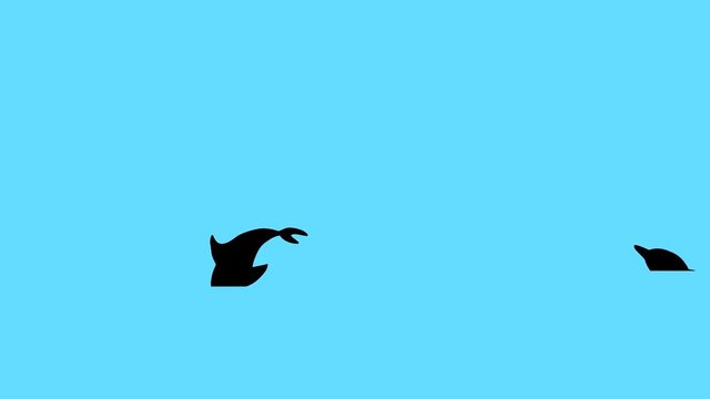 Silhouettes of jumping dolphins, animation on the blue background