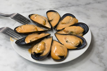 Mediterrane Muscheln