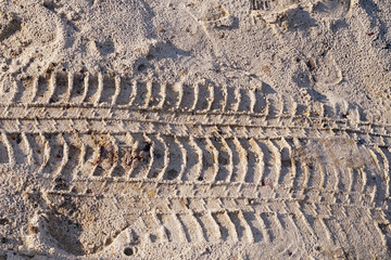  tire tracks on a sandy road    