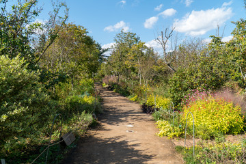 緑と花のガーデニング