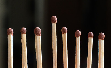 a single unique wooden match among the other regular ones, the teamwork idea