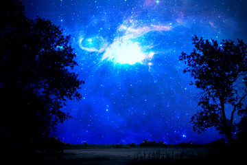 Fototapeta na wymiar the stars in the sky above the wild nature field landscape. elements of this Image furnished by nasa