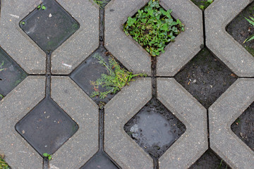 Texture, concrete asphalt cells of an eco-friendly city car parking. outdoor parking with natural grass after rain