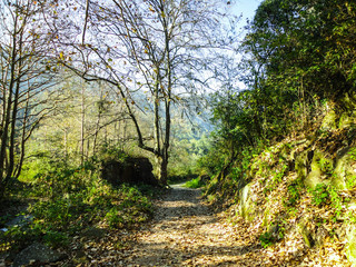 Fototapeta premium Long road, Puebla