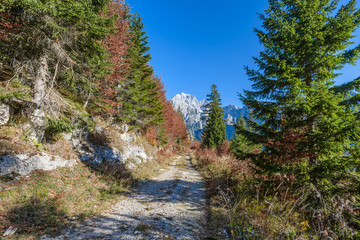 Fototapeta na wymiar Beautiful autumn forest mountain path. Mangart, Slovenia.