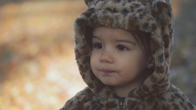 Toddler girl exploring a park on a cold fall day. Cinematic 4K footage.
