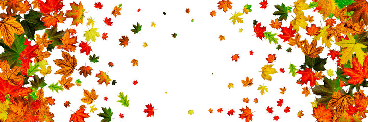 Fototapeta na wymiar Autumn background. Falling October leaves isolated on white. Season concept