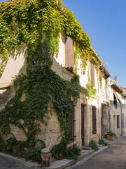 Corner of a rural house with a vine in Arles