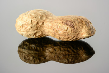Peanut on glossy grey surface with reflection. Ripe whole real peanut macro close-up, high resolution.