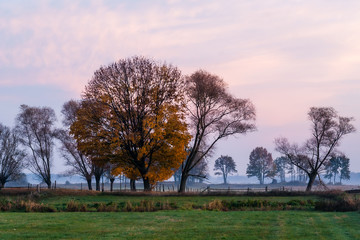 Złota polska jesień na Podlasiu, Dolina Narwi, Podlasie, Polska © podlaski49