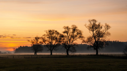 Złota polska jesień na Podlasiu, Dolina Narwi, Podlasie, Polska © podlaski49