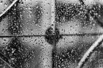 Obraz premium Gotas de Lluvia