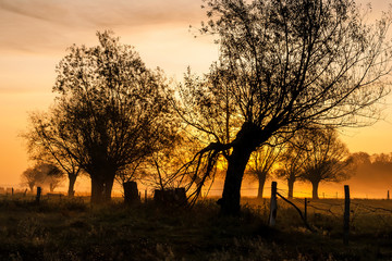 Złota polska jesień na Podlasiu, Dolina Narwi, Podlasie, Polska © podlaski49