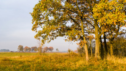 Złota polska jesień na Podlasiu, Dolina Narwi, Podlasie, Polska © podlaski49